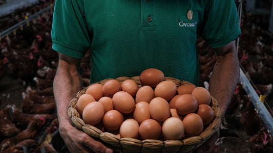 Hierro en los huevos: energía, defensas y concentración en cada porción