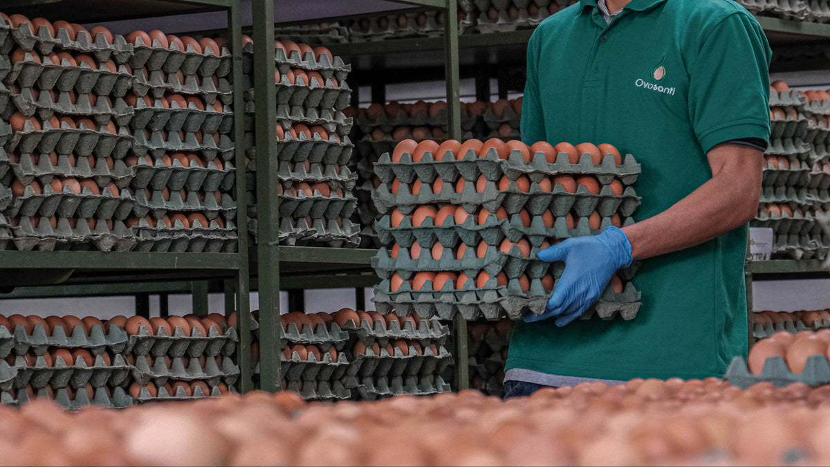 ¿Puedo conocer más sobre el proceso de producción?