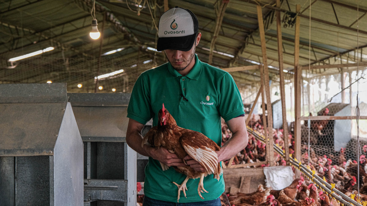 ¿Qué hace Ovosanti por el bienestar animal?