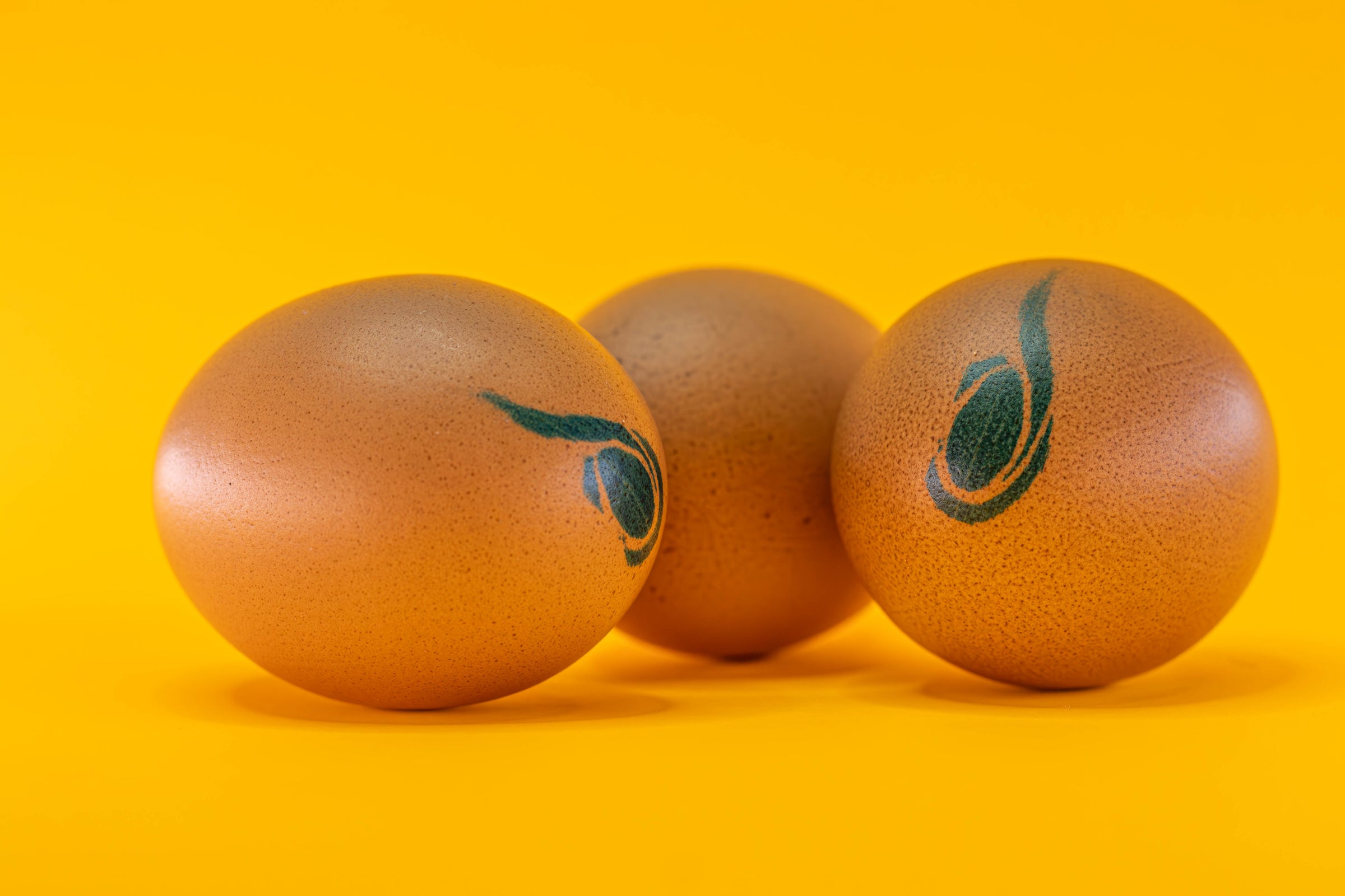 Libre de Antibióticos