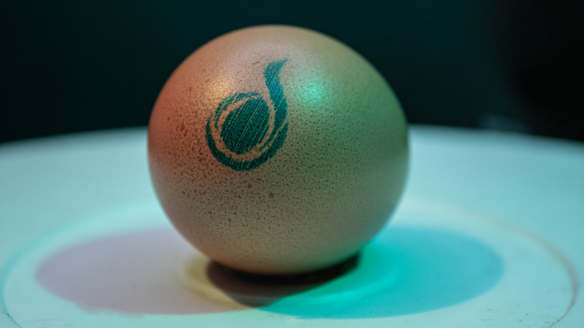 ¿Cómo debo conservar los huevos?
